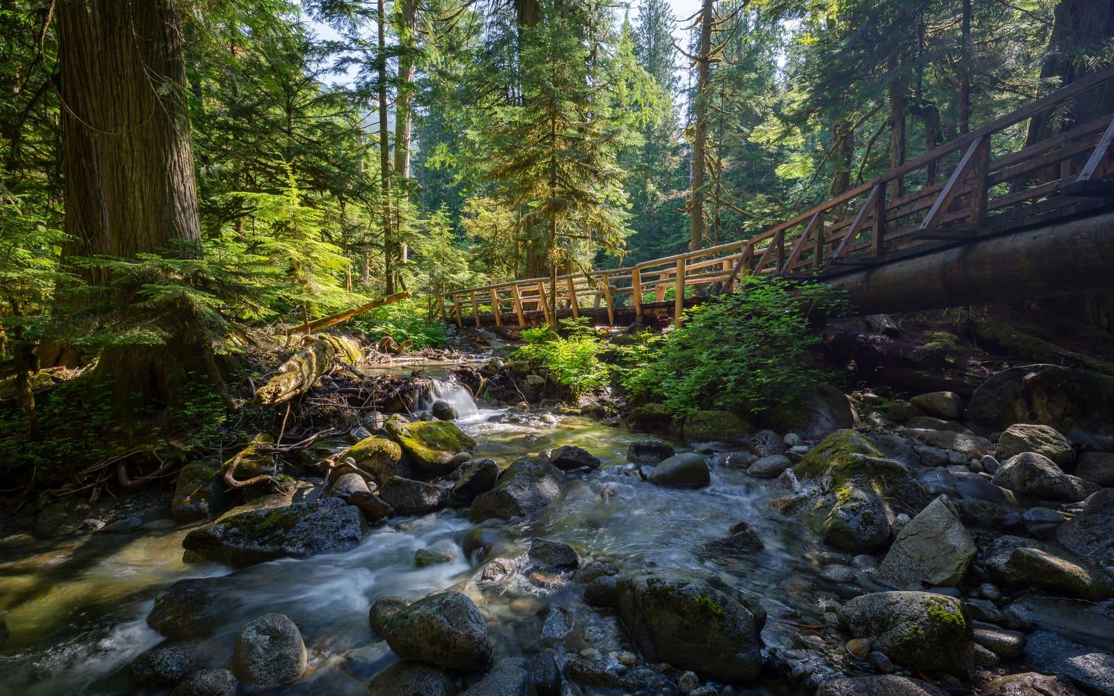 Pacific Northwest landscape