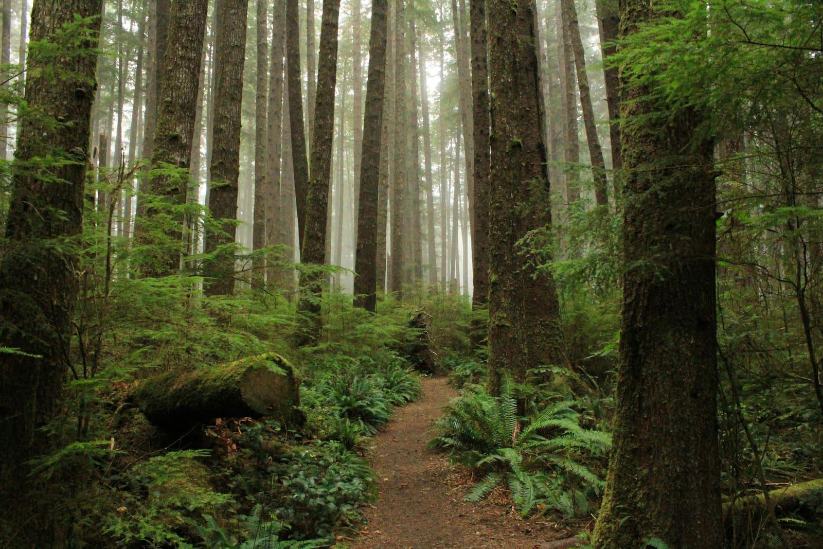 Pacific Northwest landscape