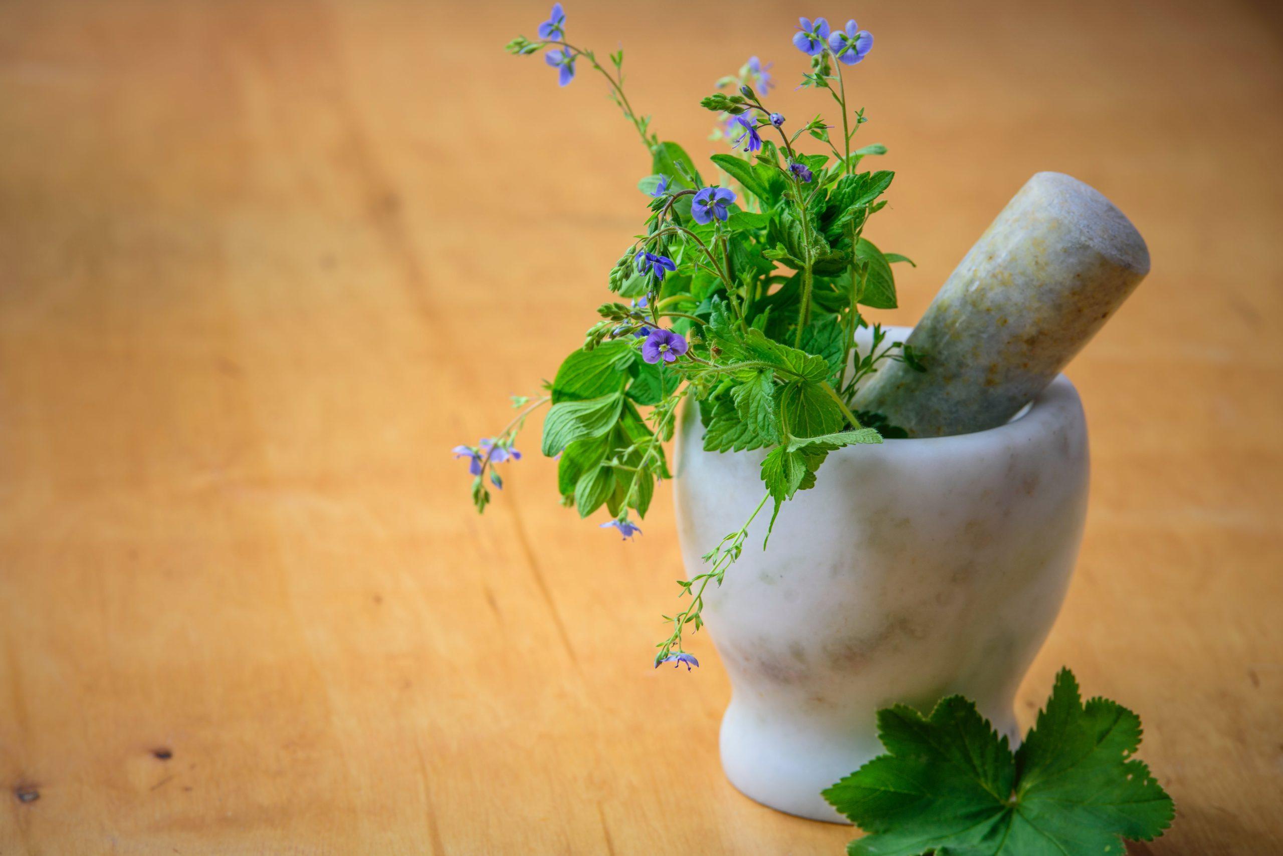 The Magic of Natural Remedies: Healing from the Earth
